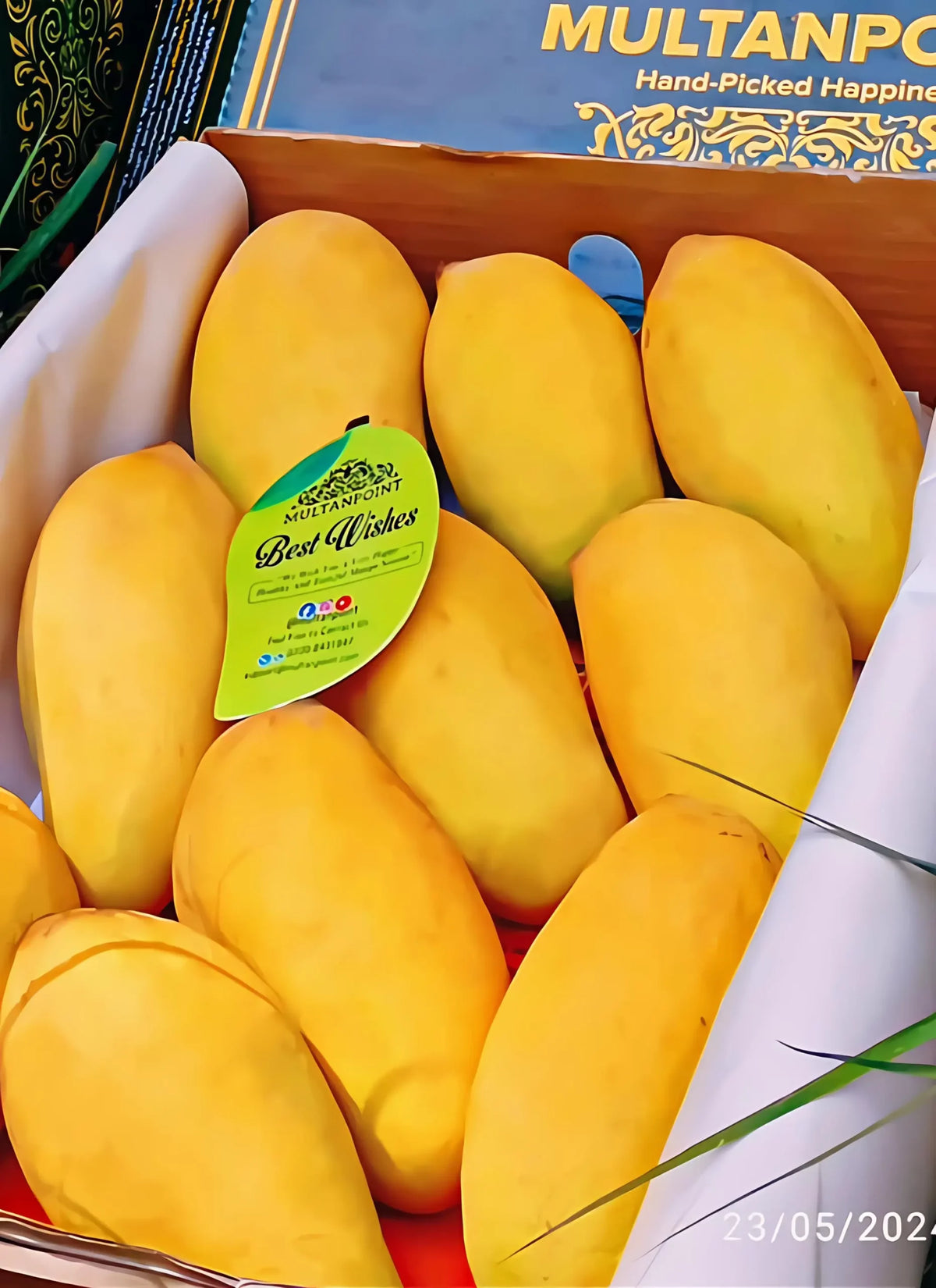 Sindhri Mangoes